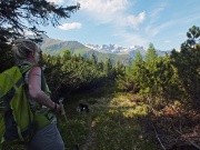 117 alla sella tra Monte Zanetti e Cima di Bani...